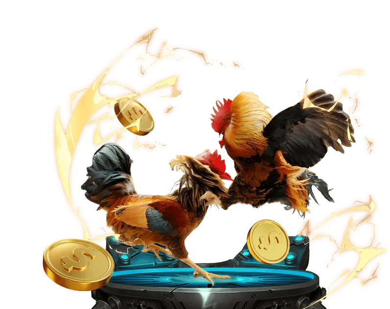 Cá cược bóng rổ 86bet